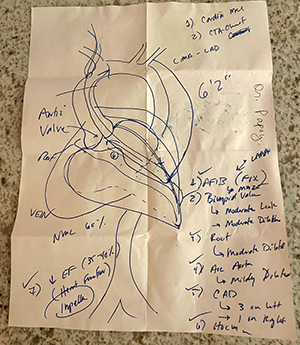 Illustration of David's heart by Dr. Andrew Papoy.