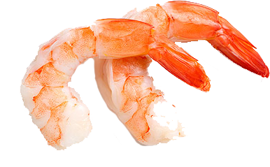 Shrimp_Use2