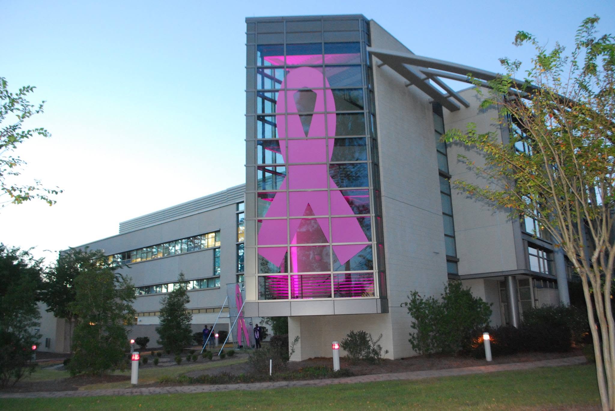 LCRP building with pink ribbon in window